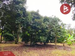 ขายที่ดิน เนื้อที่ 3 ไร่ 60 ตร.วา โป่งน้ำร้อน จันทบุรี-202510171552251760691145459.jpg