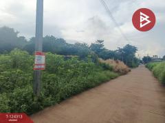 ขายที่ดิน เนื้อที่ 20 ไร่ 1 งาน 22 ตร.วา ศรีมหาโพธิ ปราจีนบุรี-202510171633021760693582722.jpg