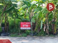 ขายที่ดิน เนื้อที่ 60.2 ตร.วา คลองหลวง ปทุมธานี