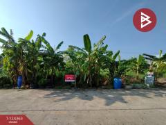 ขายที่ดิน เนื้อที่ 60.2 ตร.วา คลองหลวง ปทุมธานี-202510171633081760693588612.jpg