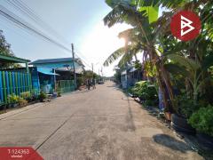 ขายที่ดิน เนื้อที่ 60.2 ตร.วา คลองหลวง ปทุมธานี-202510171633091760693589690.jpg