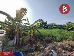 ขายที่ดิน เนื้อที่ 60.2 ตร.วา คลองหลวง ปทุมธานี-202510171633101760693590220.jpg