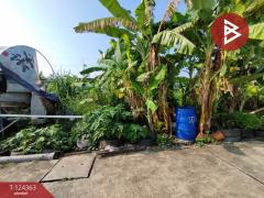 ขายที่ดิน เนื้อที่ 60.2 ตร.วา คลองหลวง ปทุมธานี-202510171633101760693590862.jpg