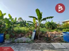 ขายที่ดิน เนื้อที่ 60.2 ตร.วา คลองหลวง ปทุมธานี-202510171633121760693592260.jpg