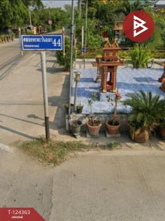 ขายที่ดิน เนื้อที่ 60.2 ตร.วา คลองหลวง ปทุมธานี-202510171633131760693593590.jpg