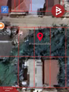 ขายที่ดิน เนื้อที่ 60.2 ตร.วา คลองหลวง ปทุมธานี-202510171633161760693596539.jpg