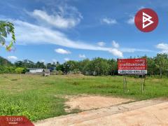 ขายที่ดิน เนื้อที่ 2 ไร่ 3 งาน 65.6 ตารางวา หาดใหญ่ สงขลา-202510171726321760696792630.jpg