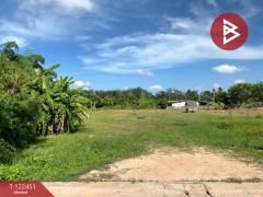 ขายที่ดิน เนื้อที่ 2 ไร่ 3 งาน 65.6 ตารางวา หาดใหญ่ สงขลา-202510171726341760696794132.jpg