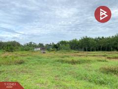 ขายที่ดิน เนื้อที่ 2 ไร่ 3 งาน 65.6 ตารางวา หาดใหญ่ สงขลา-202510171726351760696795748.jpg