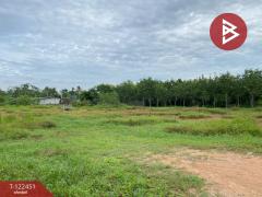 ขายที่ดิน เนื้อที่ 2 ไร่ 3 งาน 65.6 ตารางวา หาดใหญ่ สงขลา-202510171726361760696796350.jpg