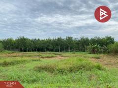 ขายที่ดิน เนื้อที่ 2 ไร่ 3 งาน 65.6 ตารางวา หาดใหญ่ สงขลา-202510171726361760696796902.jpg