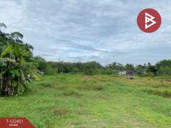 ขายที่ดิน เนื้อที่ 2 ไร่ 3 งาน 65.6 ตารางวา หาดใหญ่ สงขลา-202510171726371760696797455.jpg