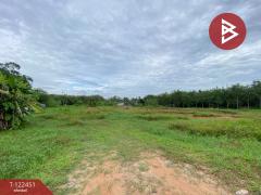 ขายที่ดิน เนื้อที่ 2 ไร่ 3 งาน 65.6 ตารางวา หาดใหญ่ สงขลา-202510171726381760696798507.jpg