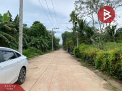 ขายที่ดิน เนื้อที่ 2 ไร่ 3 งาน 65.6 ตารางวา หาดใหญ่ สงขลา-202510171726391760696799045.jpg