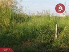 ขายที่ดิน-เนื้อที่-50-ตร.วา-บางบ่อ-สมุ