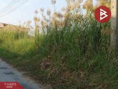 ขายที่ดิน เนื้อที่ 50 ตร.วา บางบ่อ สมุทรปราการ-202510181011261760757086048.jpg