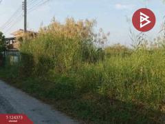 ขายที่ดิน เนื้อที่ 50 ตร.วา บางบ่อ สมุทรปราการ-202510181011261760757086701.jpg