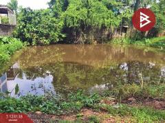 ขายด่วนที่ดิน เนื้อที่ 49.8 ตารางวา มะขามเตี้ย เมืองสุราษฎร์ธานี