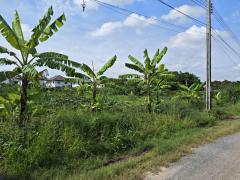 ขายที่ดินเปล่า เนื้อที่ 4 ไร่  ถ.พัฒนาชนบท 3 ซ.สมร แขวงคลองสองต้นนุ่น เขตลาดกระบัง กทม. -202510181130291760761829230.jpeg