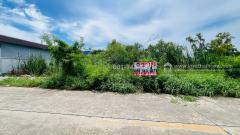 ขายที่ดิน คลองหลวง ซ.วัดเพิ่มทาน คลองสี่ตะวันออก18 พื้นที่ 4 ไร่ ผังสีชมพู แบ่งขายได้ แปลงละ 2 ไร่ ที่ดินอยู่ใกล้ถนนเลียบมอเตอร์เวย์ แค่ 300 เมตรเท่านั้น-202510181137151760762235054.jpeg