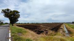 ขาย ที่ดินเปล่า 10 ไร่ คลอง 5 ฝั่งตะวันออก อ. คลองหลวง ปทุมธานี หน้ากว้าง ติดถนนคอนกรีต