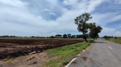 ขาย ที่ดินเปล่า 10 ไร่ คลอง 5 ฝั่งตะวันออก อ. คลองหลวง ปทุมธานี หน้ากว้าง ติดถนนคอนกรีต-202510181146061760762766335.jpg