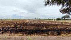 ขาย ที่ดินเปล่า 10 ไร่ คลอง 5 ฝั่งตะวันออก อ. คลองหลวง ปทุมธานี หน้ากว้าง ติดถนนคอนกรีต-202510181146071760762767555.jpg