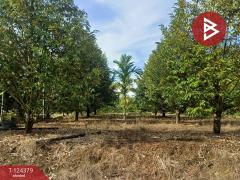 ขายที่ดินพร้อมสิ่งปลูกสร้าง เนื้อที่ 3 ไร่ ท่าใหม่ จันทบุรี