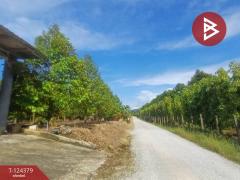 ขายที่ดินพร้อมสิ่งปลูกสร้าง เนื้อที่ 3 ไร่ ท่าใหม่ จันทบุรี-202510181208111760764091518.jpg