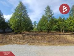 ขายที่ดินพร้อมสิ่งปลูกสร้าง เนื้อที่ 3 ไร่ ท่าใหม่ จันทบุรี-202510181208121760764092052.jpg