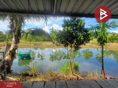 ขายที่ดินพร้อมสิ่งปลูกสร้าง เนื้อที่ 3 ไร่ ท่าใหม่ จันทบุรี-202510181208121760764092601.jpg