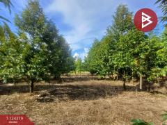 ขายที่ดินพร้อมสิ่งปลูกสร้าง เนื้อที่ 3 ไร่ ท่าใหม่ จันทบุรี-202510181208131760764093373.jpg