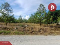 ขายที่ดินพร้อมสิ่งปลูกสร้าง เนื้อที่ 3 ไร่ ท่าใหม่ จันทบุรี-202510181208131760764093947.jpg