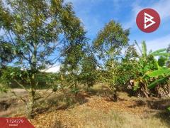 ขายที่ดินพร้อมสิ่งปลูกสร้าง เนื้อที่ 3 ไร่ ท่าใหม่ จันทบุรี-202510181208141760764094492.jpg