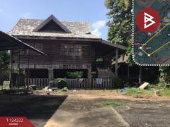 ขายบ้านเดี่ยวพร้อมที่ดิน เนื้อที่ 3 ไร่ 1 งาน 9 ตร.วา บ้านเกาะ อุตรดิตถ์-202510181408241760771304610.jpg