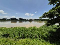 ที่ดิน ติดแม่น้ำน้อย พร้อมบ้าน บางไทร อยุธยา ที่ดิน  4-3-64 ไร่ ตารางวาละ 30,000 บาท 