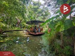 ขายที่ดินพร้อมสิ่งปลูกสร้าง เนื้อที่ 2 งาน 69.1 ตร.วา บ้านยาง นครปฐม-202510181446371760773597989.jpg