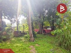 ขายที่ดินพร้อมสิ่งปลูกสร้าง เนื้อที่ 2 งาน 69.1 ตร.วา บ้านยาง นครปฐม-202510181446381760773598607.jpg