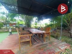 ขายที่ดินพร้อมสิ่งปลูกสร้าง เนื้อที่ 2 งาน 69.1 ตร.วา บ้านยาง นครปฐม-202510181446441760773604637.jpg