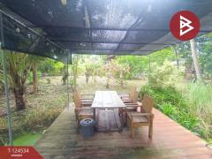 ขายที่ดินพร้อมสิ่งปลูกสร้าง เนื้อที่ 2 งาน 69.1 ตร.วา บ้านยาง นครปฐม-202510181446451760773605163.jpg