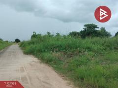  ขายที่ดิน เนื้อที่ 3 งาน 80 ตร.วา ดอนทอง พิษณุโลก-202510181509281760774968350.jpg