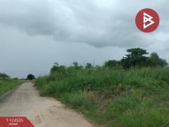  ขายที่ดิน เนื้อที่ 3 งาน 80 ตร.วา ดอนทอง พิษณุโลก-202510181509291760774969088.jpg