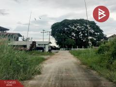  ขายที่ดิน เนื้อที่ 3 งาน 80 ตร.วา ดอนทอง พิษณุโลก-202510181509291760774969614.jpg