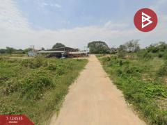  ขายที่ดิน เนื้อที่ 3 งาน 80 ตร.วา ดอนทอง พิษณุโลก-202510181509301760774970278.jpg