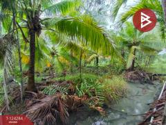 ขายที่ดินพร้อมบ้านเดี่ยว 2 ชั้น เนื้อที่ 2 ไร่ 2 งาน 54 ตารางวา คลองเขิน สมุทรสงคราม-202510181605201760778320871.jpg