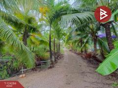 ขายที่ดินพร้อมบ้านเดี่ยว 2 ชั้น เนื้อที่ 2 ไร่ 2 งาน 54 ตารางวา คลองเขิน สมุทรสงคราม-202510181605211760778321423.jpg