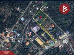 ขายที่ดินพร้อมบ้านเดี่ยว 2 ชั้น เนื้อที่ 2 ไร่ 2 งาน 54 ตารางวา คลองเขิน สมุทรสงคราม-202510181605221760778322700.jpg