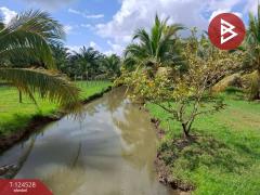 ขายที่ดินพร้อมสิ่งปลูกสร้าง เนื้อที่ 9 ไร่ 3 งาน 38.7 ตารางวา ต.บางจาก นครศรีธรรมราช