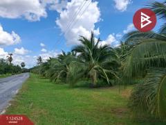 ขายที่ดินพร้อมสิ่งปลูกสร้าง เนื้อที่ 9 ไร่ 3 งาน 38.7 ตารางวา ต.บางจาก นครศรีธรรมราช-202510181614471760778887148.jpg