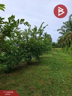 ขายที่ดินพร้อมสิ่งปลูกสร้าง เนื้อที่ 9 ไร่ 3 งาน 38.7 ตารางวา ต.บางจาก นครศรีธรรมราช-202510181614481760778888775.jpg